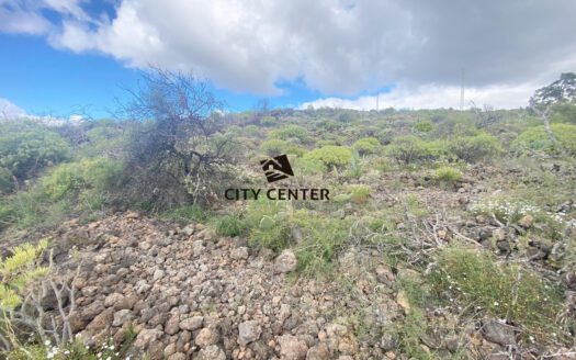 TERRENO RUSTICO EN GUIA DE ISORA